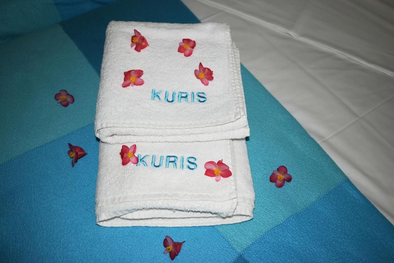 Kuris Studios & Apartments Vasilikí エクステリア 写真
